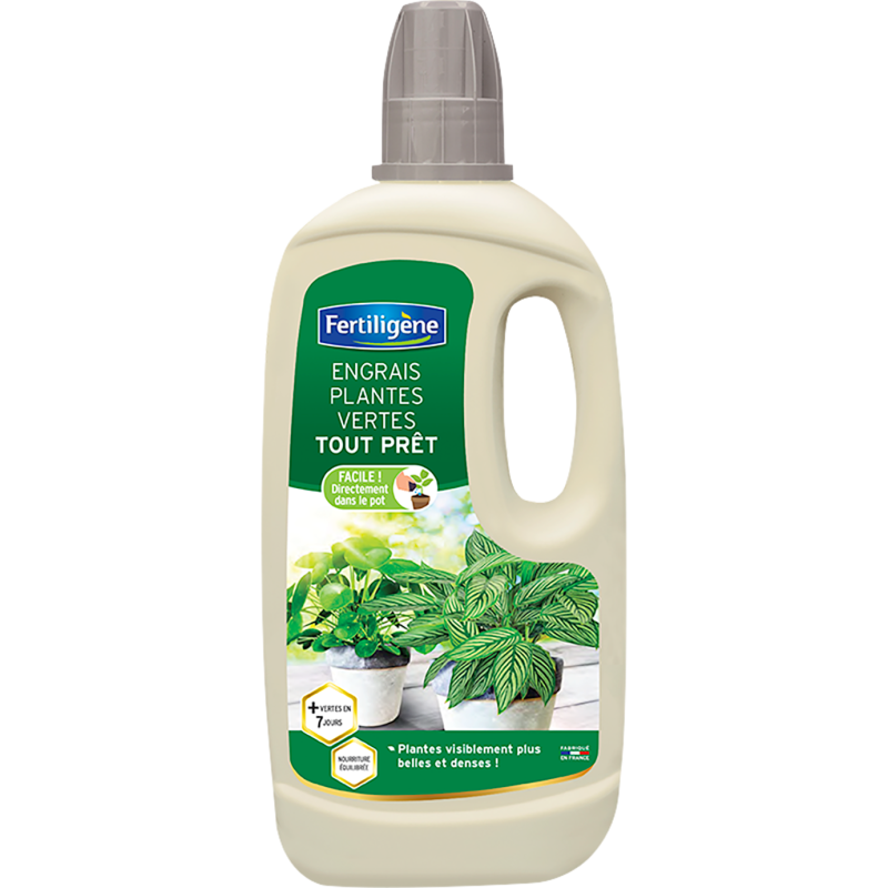 Engrais plantes vertes tout pret 1L