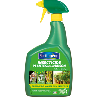 Insecticide plantes de la maison  800ml
