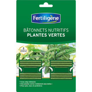 Batonnets nutritifs plantes vertes