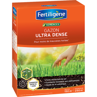 Gazon ultra dense