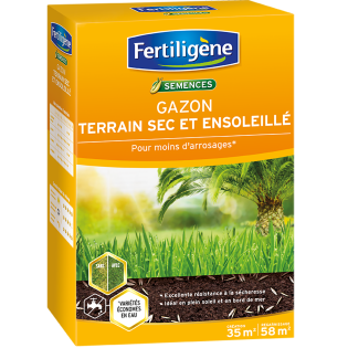 Gazon terrain sec