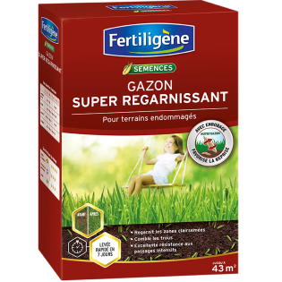 Gazon super regarnissant