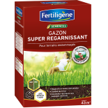 Gazon super regarnissant