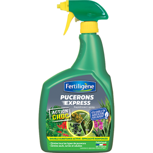 Insecticide pucerons express pret à l'emploi 700ml