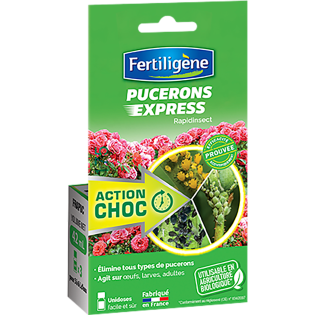 Rapidinsect pucerons et pyrales du buis 3x14ml