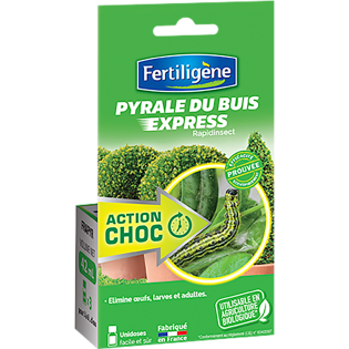 Rapidinsect pucerons et pyrales du buis