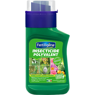 Insecticide polyvalent