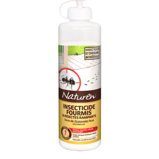 Fourmis terre de diatomée 100g