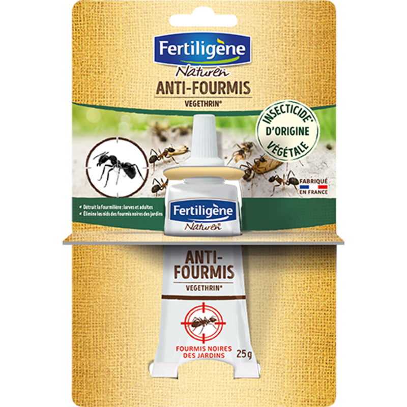 Fourmis tube 25g