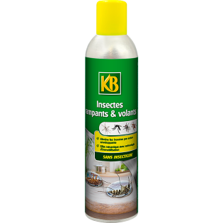 Rampants et volants sans insecticide aérosol 300ml