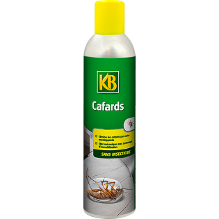 Cafards sans insecticide aérosol 300ml