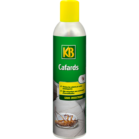 Cafards sans insecticide aérosol 300ml