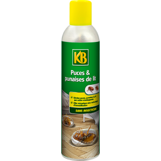 Puces et punaises de lit sans insecticide aérosol 300ml