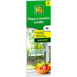 Pieges à mouches encollés