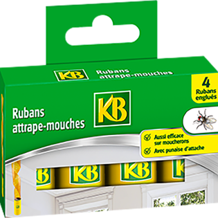 Rubans attrape-mouches