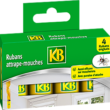 Rubans attrape-mouches