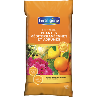 Terreau plantes méditerranéennes, agrumes