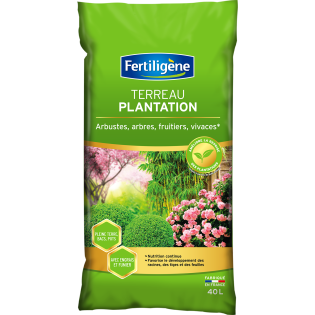 Terreau plantation, arbustes à fleurs, conifères