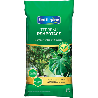 Terreau rempotage plantes vertes et fleuries