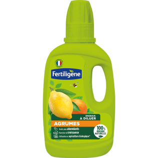 Engrais agrumes