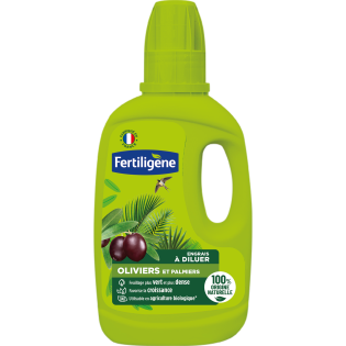 Engrais oliviers, palmiers