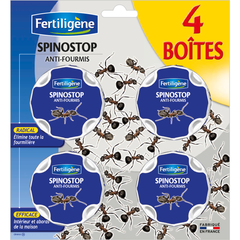 Fourmis boites