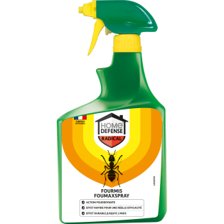 Fourmis 750ml