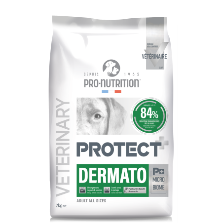 PROTECT CHIEN DERMATO