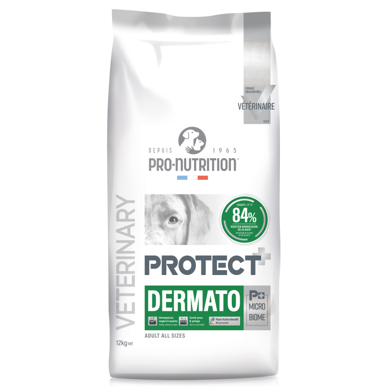 PROTECT CHIEN DERMATO