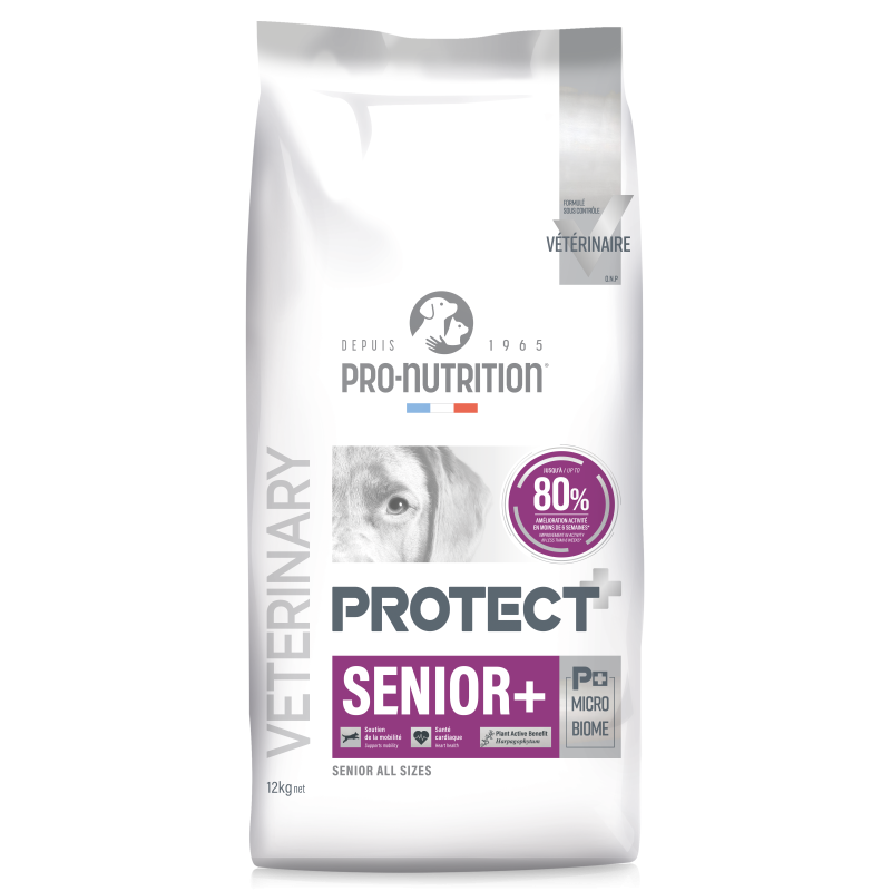 PROTECT CHIEN SENIOR+