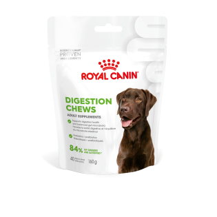 ADULT DIGESTION SUPPLEMENT 160G