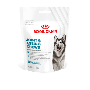 ADULT JOINT AND AGEING SUPPLEMENT  240G