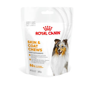 ADULT SKIN & COAT SUPPLEMENT 240G