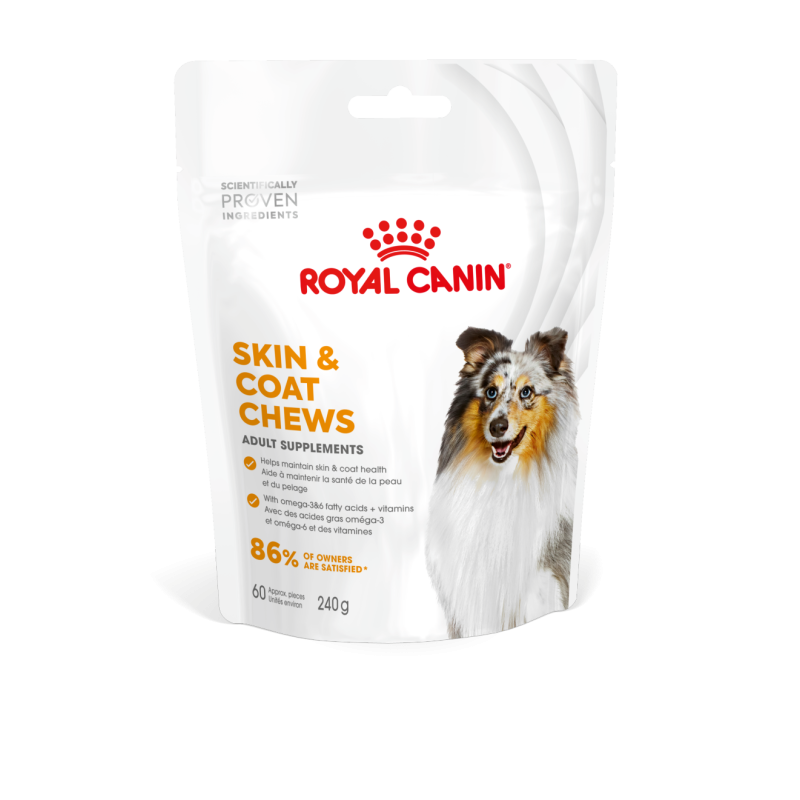 ADULT SKIN & COAT SUPPLEMENT 240G