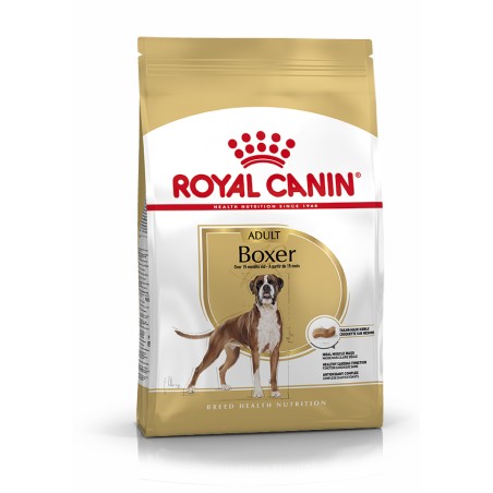 BOXER ADULT