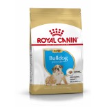 BULLDOG JUNIOR