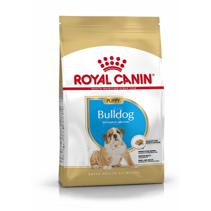 BULLDOG JUNIOR