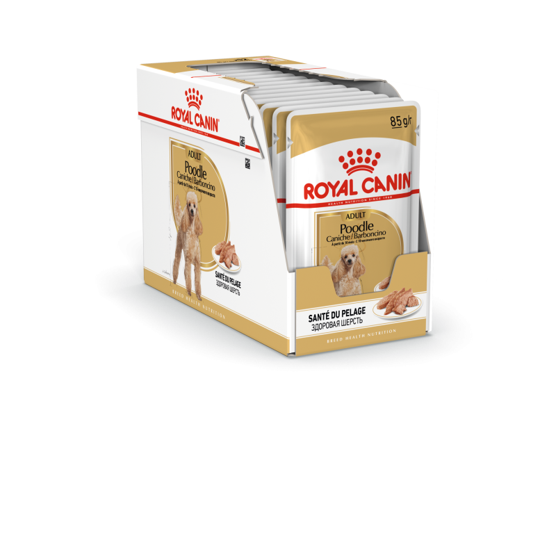 CANICHE ADULT 12X85G