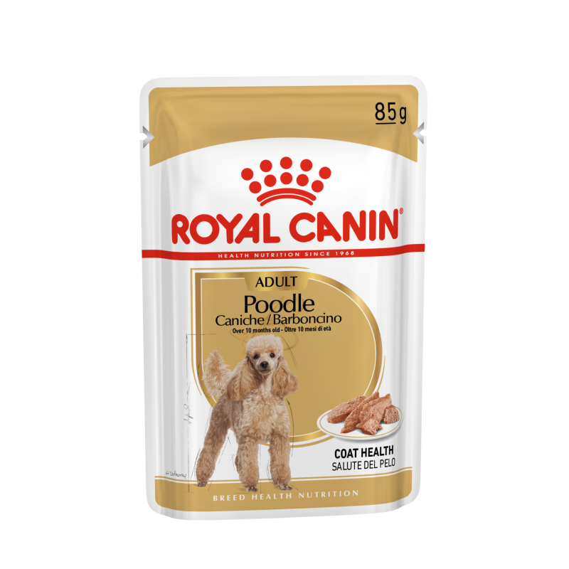 CANICHE ADULT 12X85G