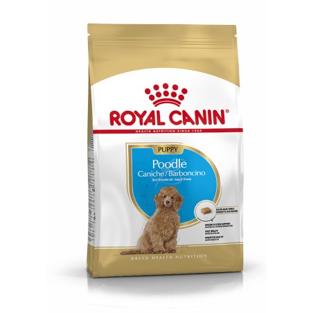 CANICHE JUNIOR 3KG