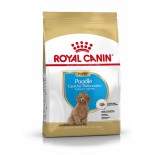 CANICHE JUNIOR 3KG CANICHE JUNIOR 3KG