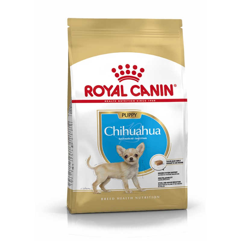 CHIHUAHUA JUNIOR
