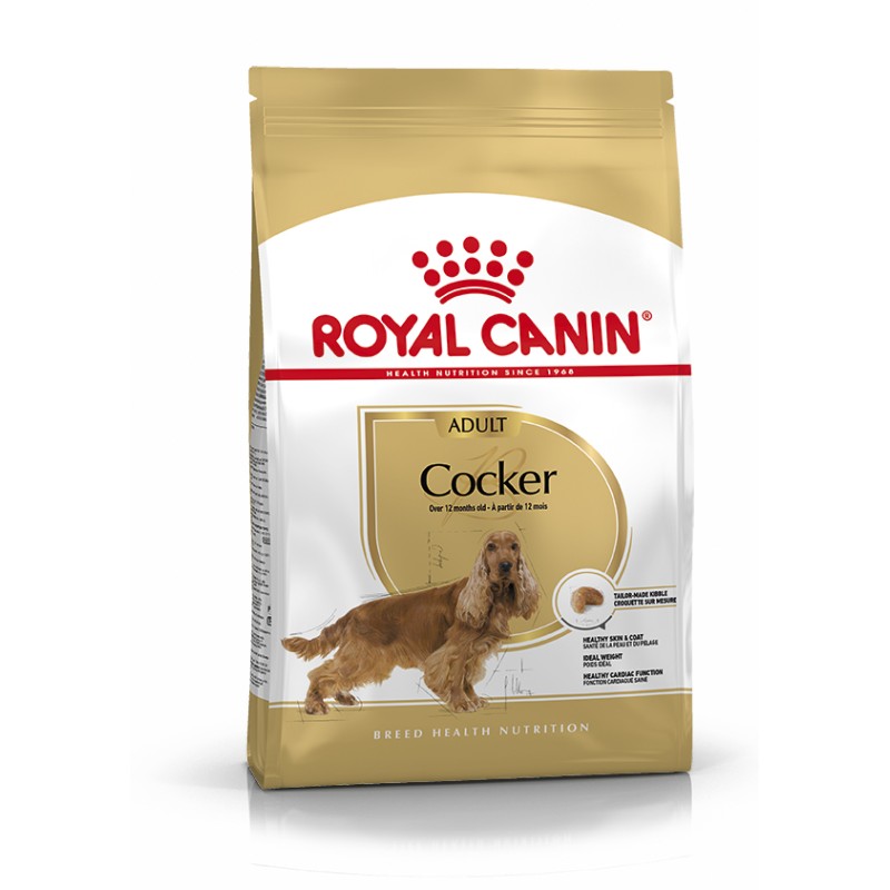 COCKER ADULT