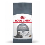 DENTAL CARE