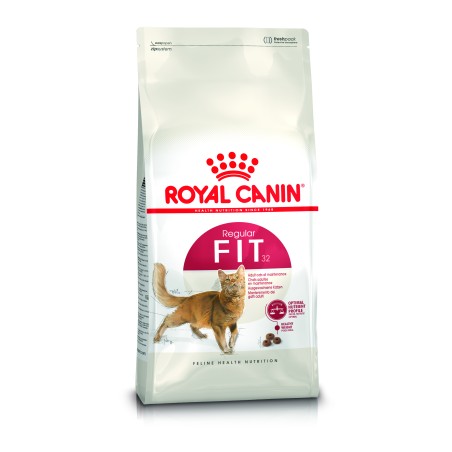 FIT32