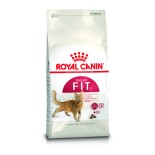 FIT32