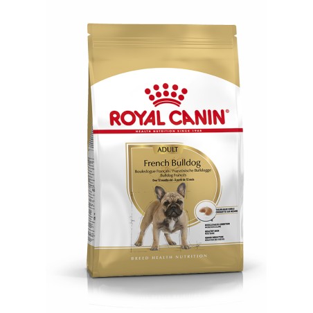 FRENCH BULLDOG ADULT