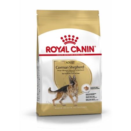 GERMAN SHEPHERD ADULT