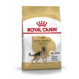 GERMAN SHEPHERD ADULT