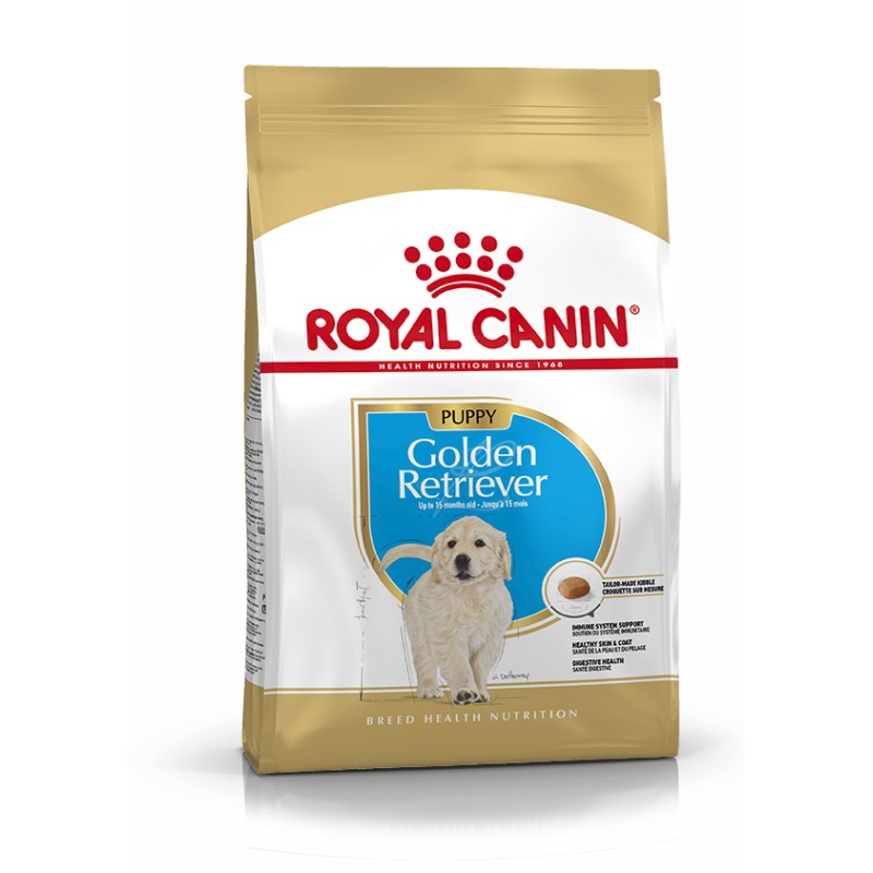 GOLDEN JUNIOR